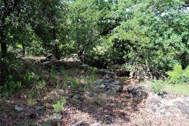 20 N Carroll St, Home with 0 bedrooms, 0 bathrooms and null parking in Henrietta TX | Image 15