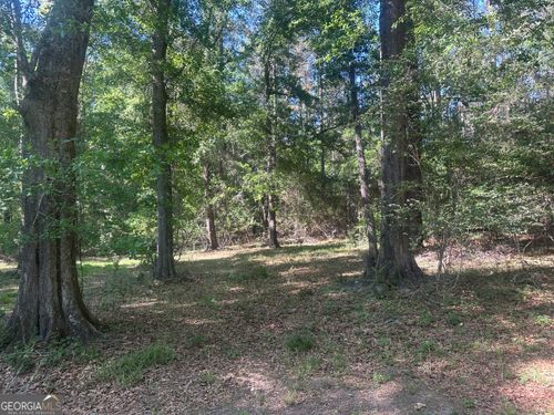 0 Burtons Ferry Hwy, sylvania, GA, 30467 | Card Image