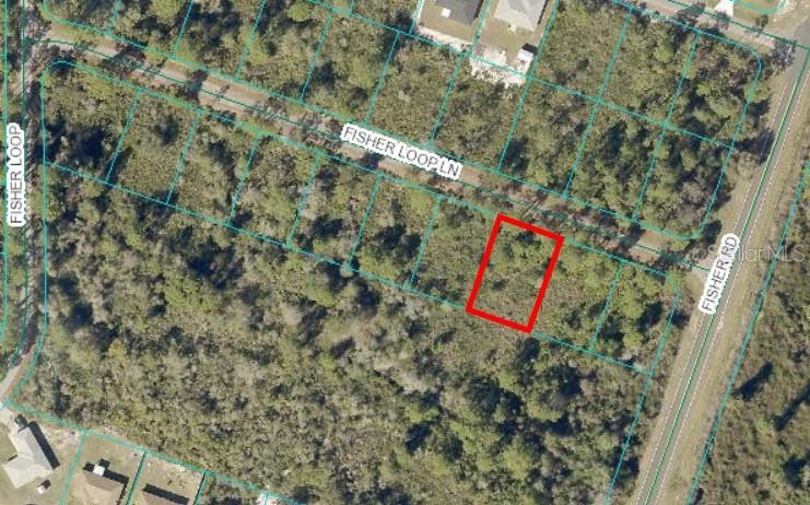 Land in OCKLAWAHA