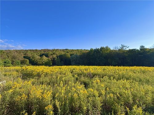 0 Campbell Rd, Franklin, NY, 13775 | Card Image