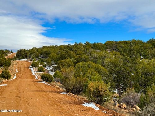 0 W Elkhorn Pass 36 Acres, Seligman, AZ, 86337 | Card Image