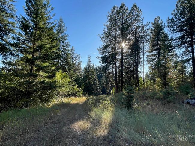 181 Harris Ridge Loop, House other with 3 bedrooms, 3 bathrooms and 2 parking in Kooskia ID | Image 44