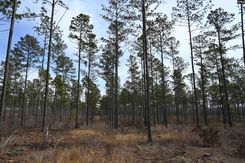 622 Pickett Thomas Road, Camden, SC, 29020 | Card Image