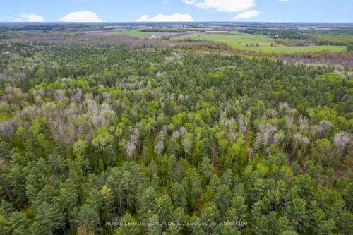 0000 Nangor Trail, Westmeath, ON, K0J2L0 | Card Image