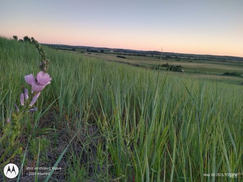 TBD Whiteman Ln, Indian Valley, ID, 83632 | Card Image