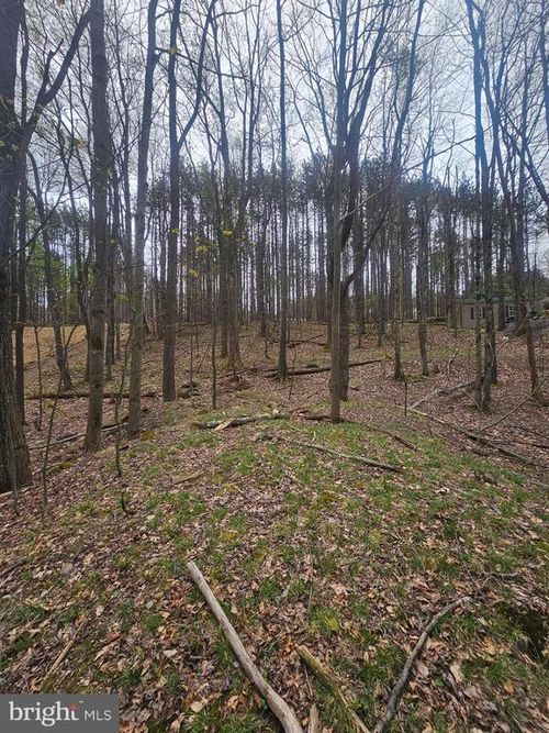 Lot 233 Cumberland Rd, OAKLAND, MD, 21550-8183 | Card Image