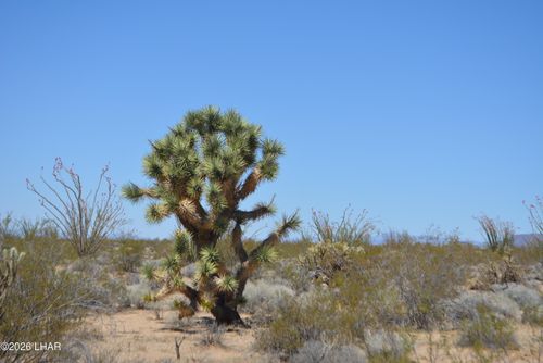 199 S Cortaro Rd, Yucca, AZ, 86438 | Card Image