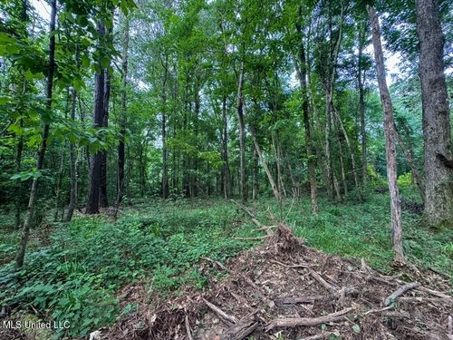 1 Old Hamburg Roxie Rd Nw, Roxie, MS, 39661 | Card Image