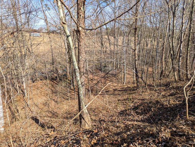 0 A L Philpott Hwy, Home with 0 bedrooms, 0 bathrooms and null parking in Spencer VA | Image 4