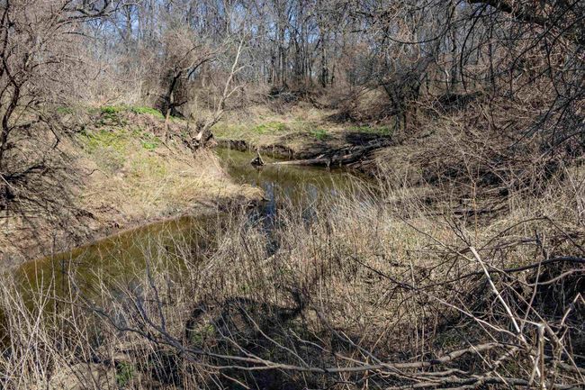 View of landscape with a forest view | Image 24