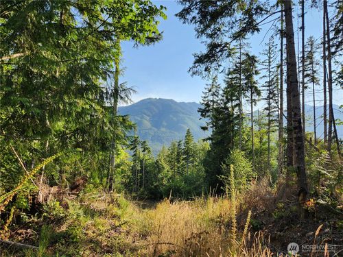 lot-i-0 Rocky Brook Rd, Brinnon, WA, 98320 | Card Image