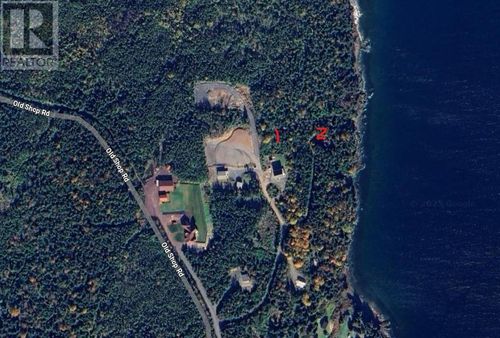 {{alt}} | Card Image