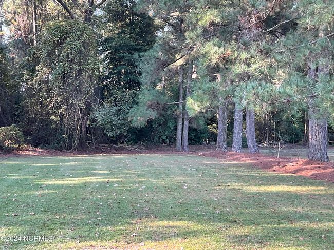Back Yard | Image 11