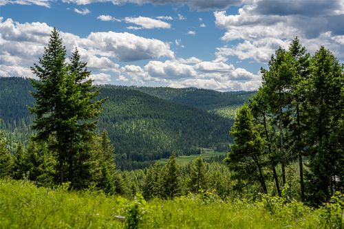 2342 Sirius Vw, Kalispell, MT, 59901-9141 | Card Image