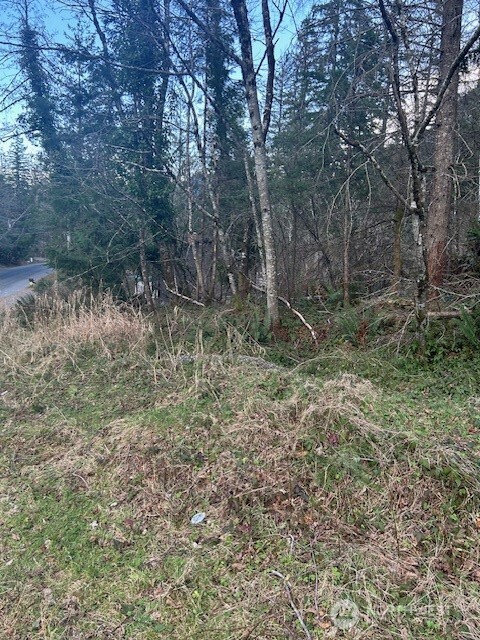 Land in North Bend 3