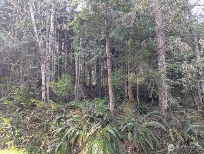 9999 Lone Tree Dr, Home with 0 bedrooms, 0 bathrooms and null parking in Sequim WA | Image 6