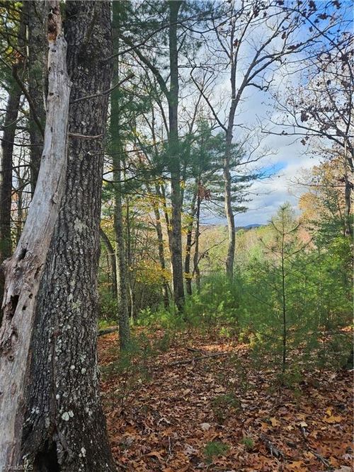 0 Sutter's Ridge Lt 112 Sutters Ridge Rd, Mc Grady, NC, 28649 | Card Image