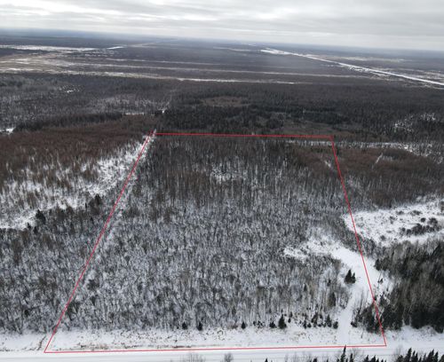 8624 Zim Rd, Forbes, MN, 55738-8120 | Card Image