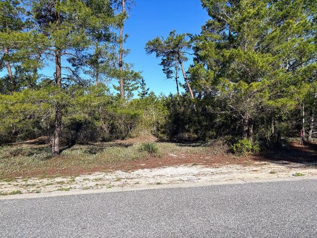 Front View of Lot | Image 9