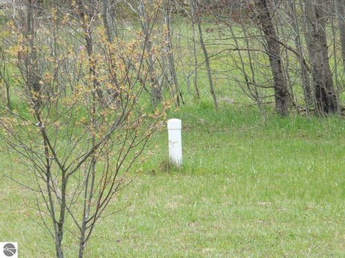 Lot 31 Kingsfield Drive, Kingsley, MI, 49649 | Card Image