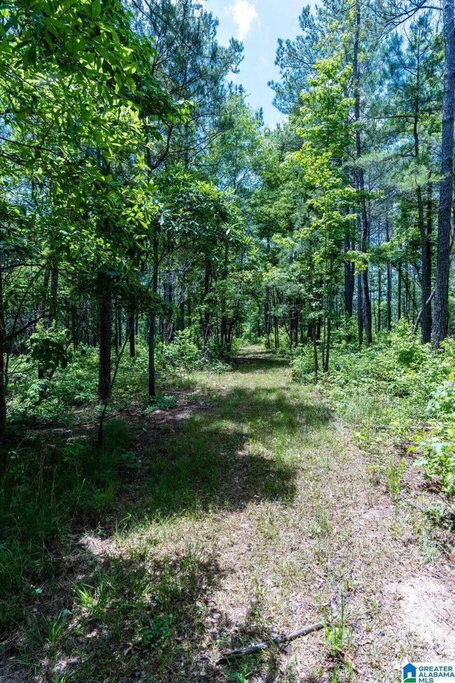 4626 Simpson Rd, House other with 4 bedrooms, 3 bathrooms and null parking in DAVISTON AL | Image 14