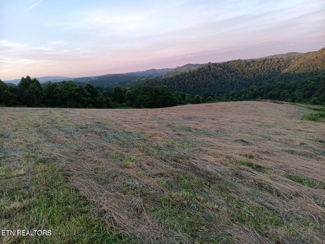 170 Ball Ridge Rd, Home with 0 bedrooms, 0 bathrooms and null parking in Cumberland Gap TN | Image 12