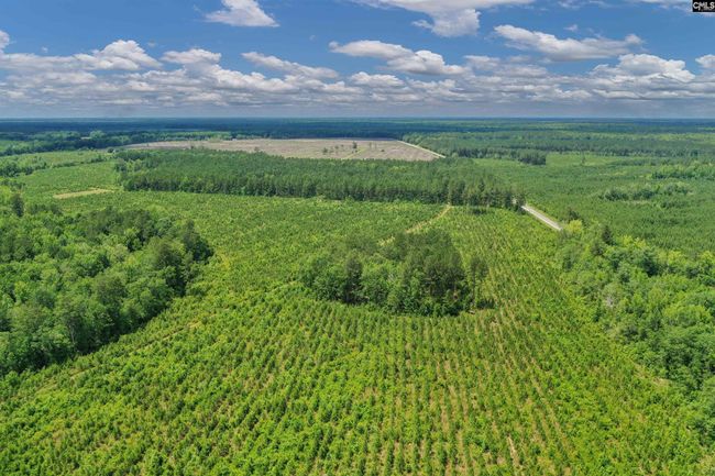 0000 N Brewington Rd, Home with 0 bedrooms, 0 bathrooms and null parking in Manning SC | Image 43