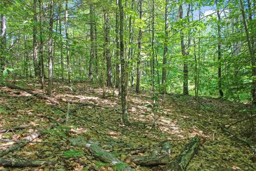 4 John Ter, Ossipee, NH, 03864 | Card Image