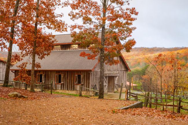 0 Long Branch Rd, Home with 0 bedrooms, 0 bathrooms and null parking in Rising Fawn GA | Image 9