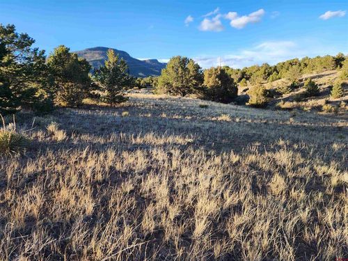 512 Kit Carson Rd, South Fork, CO, 81154 | Card Image