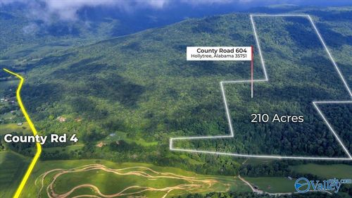 210 Acres County Road 604, Hollytree, AL, 35751 | Card Image