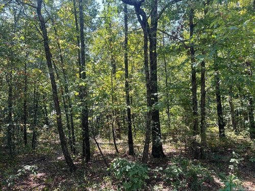 0 Howard Rd, Higden, AR, 72067 | Card Image
