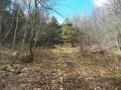 988 Dover Rd, Epsom, NH, 03234 | Card Image