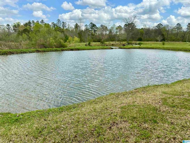 12325 Us Highway 411 N, House other with 3 bedrooms, 3 bathrooms and null parking in Centre AL | Image 47