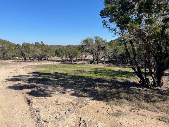 More than half the lot is cleared | Image 7