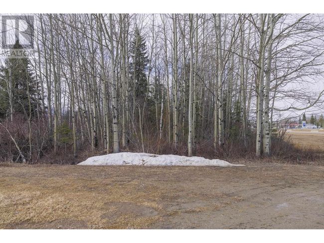 1105 S Frontage Rd, Home with 0 bedrooms, 0 bathrooms and null parking in Mcbride BC | Image 7