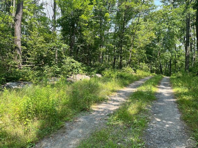 0 Cascade Mountain Rd, Home with 0 bedrooms, 0 bathrooms and null parking in Amenia NY | Image 4