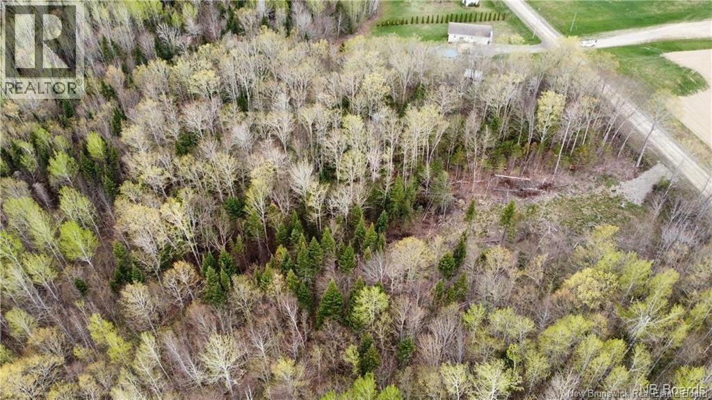 Land in Williamstown 4