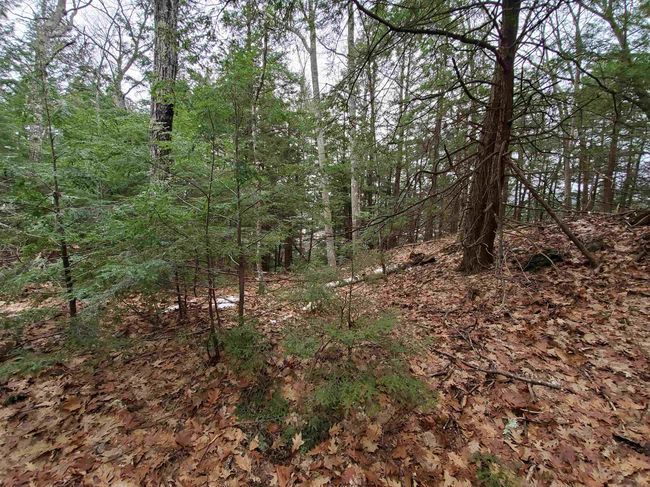 00 Berry Farms Rd, Home with 0 bedrooms, 0 bathrooms and null parking in Bristol NH | Image 20