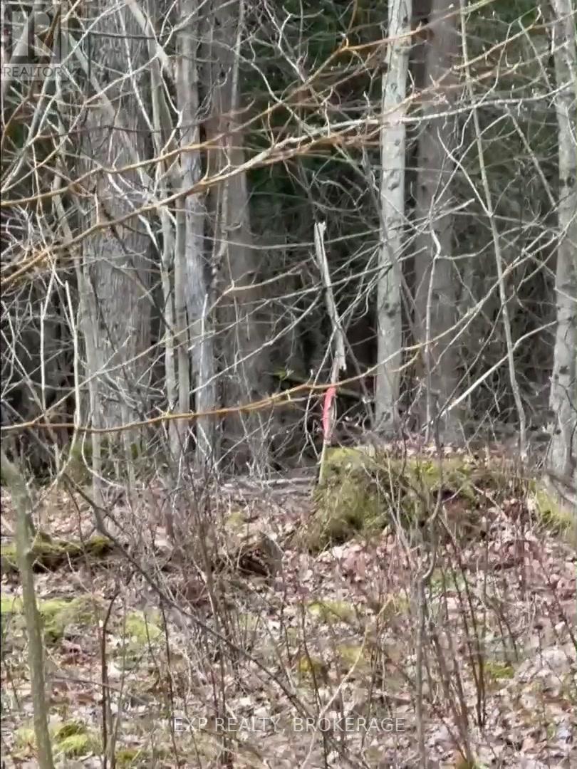 Land in Frontenac (Frontenac South) 5