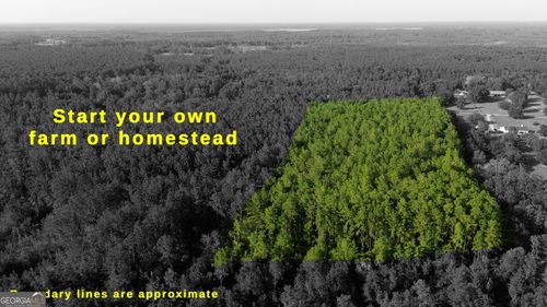 1062 Waverly Farm Rd, Waverly, GA, 31565 | Card Image