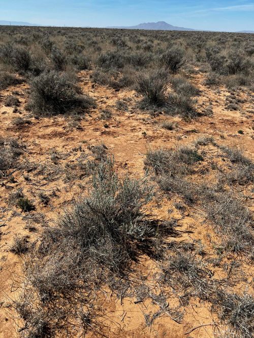 Lot 4 Cowles Circle, Rio Communities, NM, 87002 | Card Image