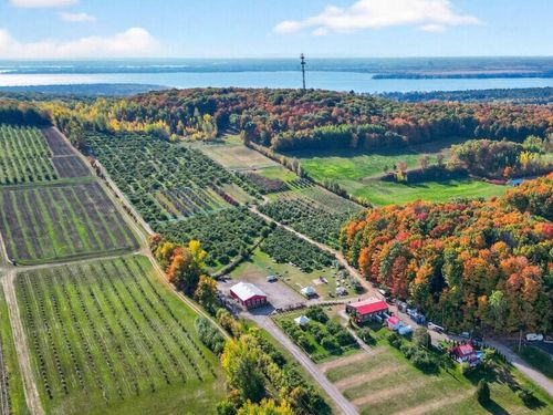 {{alt}} | Card Image