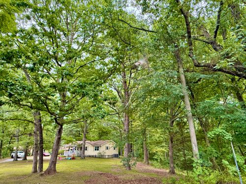 5404 Sawyer Rd, Signal Mountain, TN, 37377-2830 | Card Image