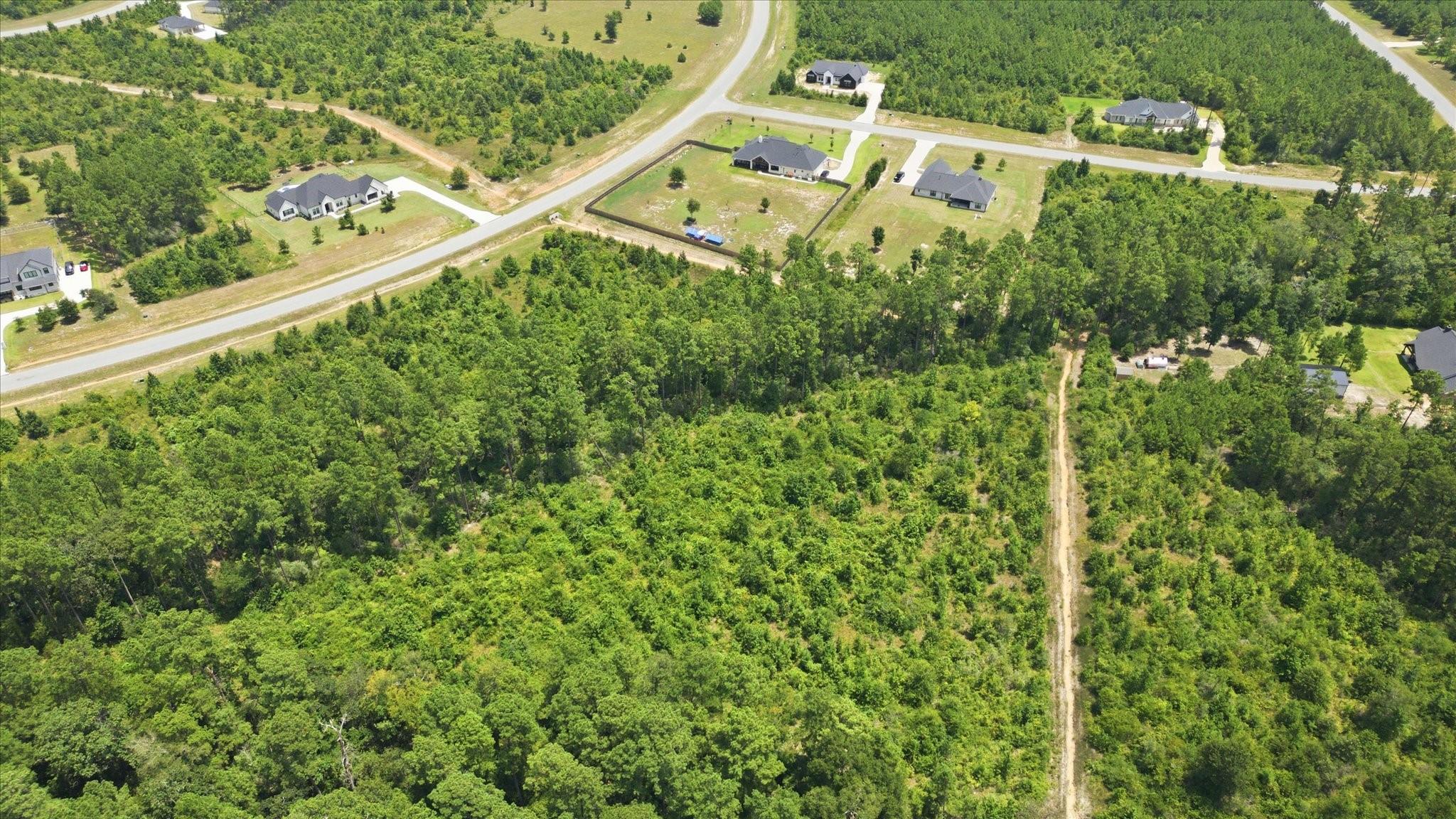 Land in Willis 5