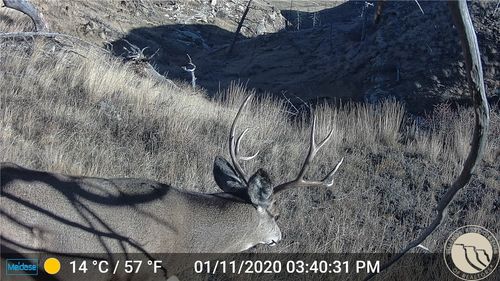 NHN Lookout Point, Shawmut, MT, 59078 | Card Image