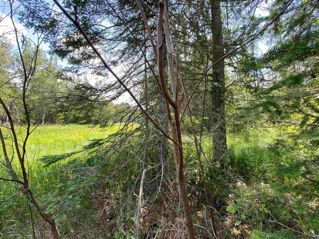 57 Munger Shaw Rd, Home with 0 bedrooms, 0 bathrooms and null parking in Saginaw MN | Image 25