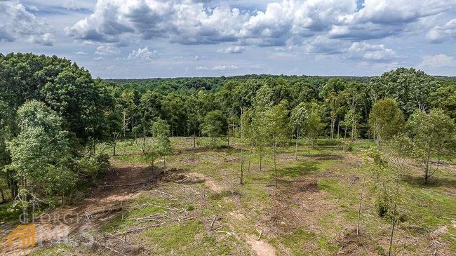 TRACT 2 Coldwater Creek Rd, Home with 0 bedrooms, 0 bathrooms and null parking in Dewy Rose GA | Image 9