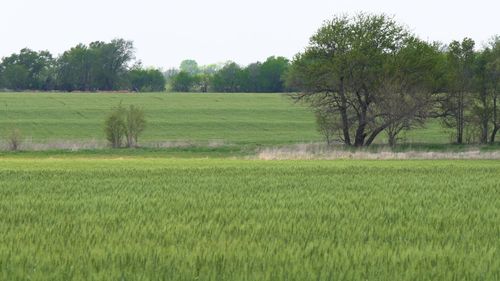 Lot 7 Block 3 Dry Creek Estates, Goddard, KS, 67052 | Card Image