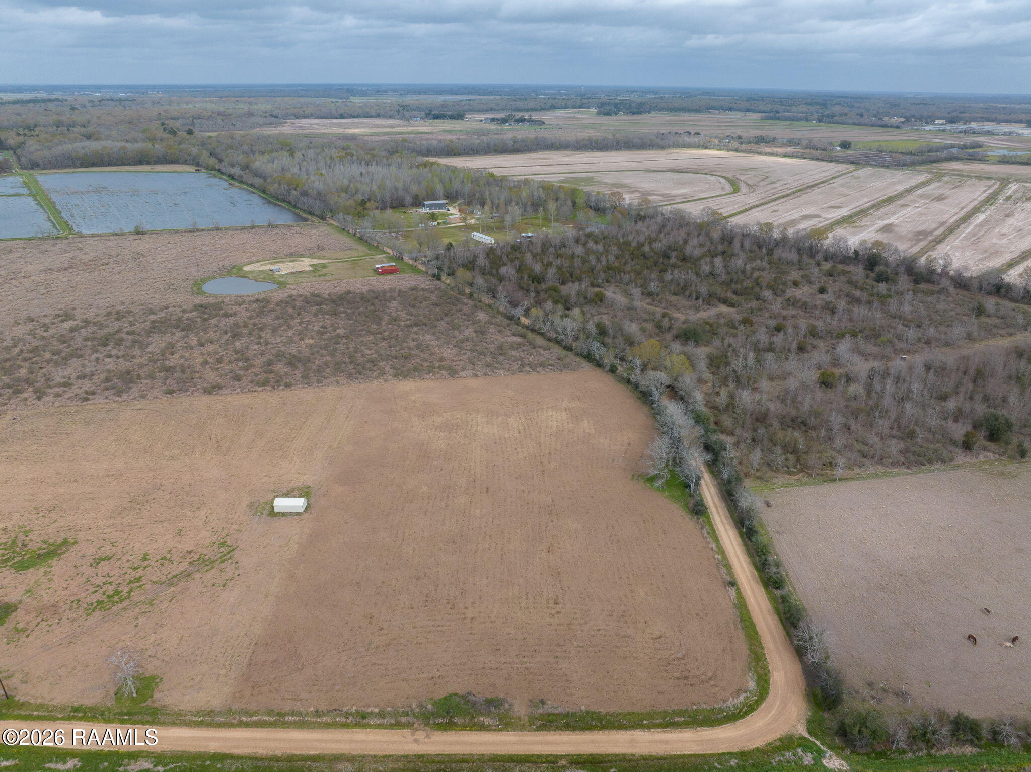 Land in Eunice 3